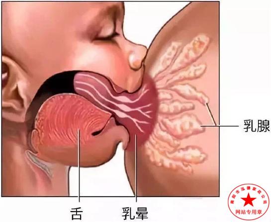 漲奶怎么辦？